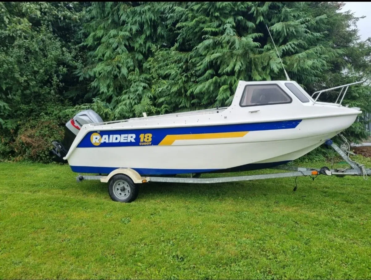Raider 18, Mariner 115  Immac Condition - Image 4