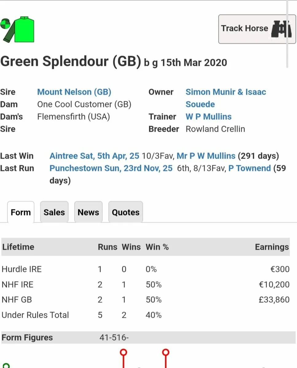 Thoroughbred Broodmare - Image 3