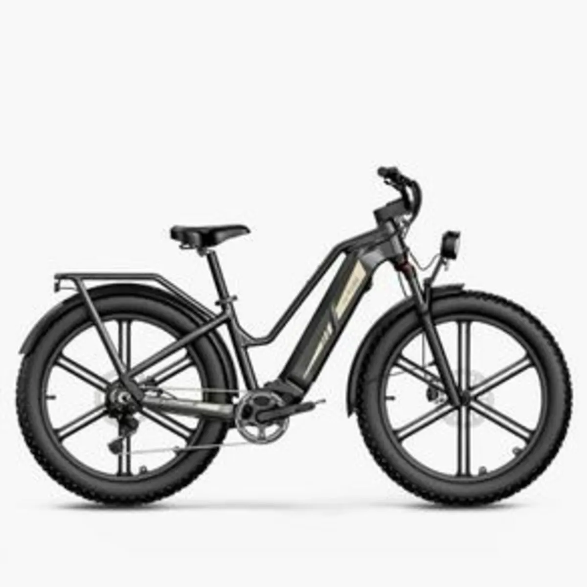 FIIDO Titan 2025 Cargo Electric Bike for today