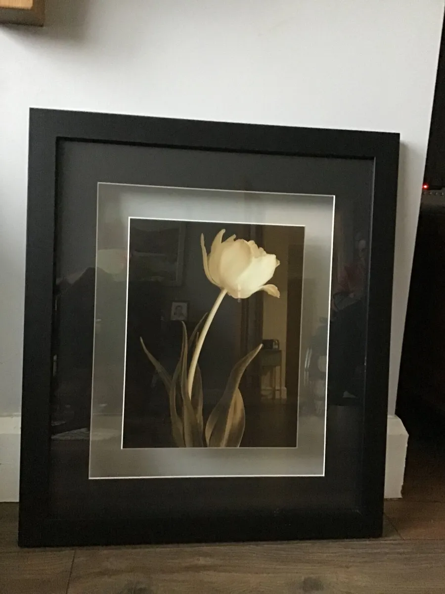 Art pictures - Image 1