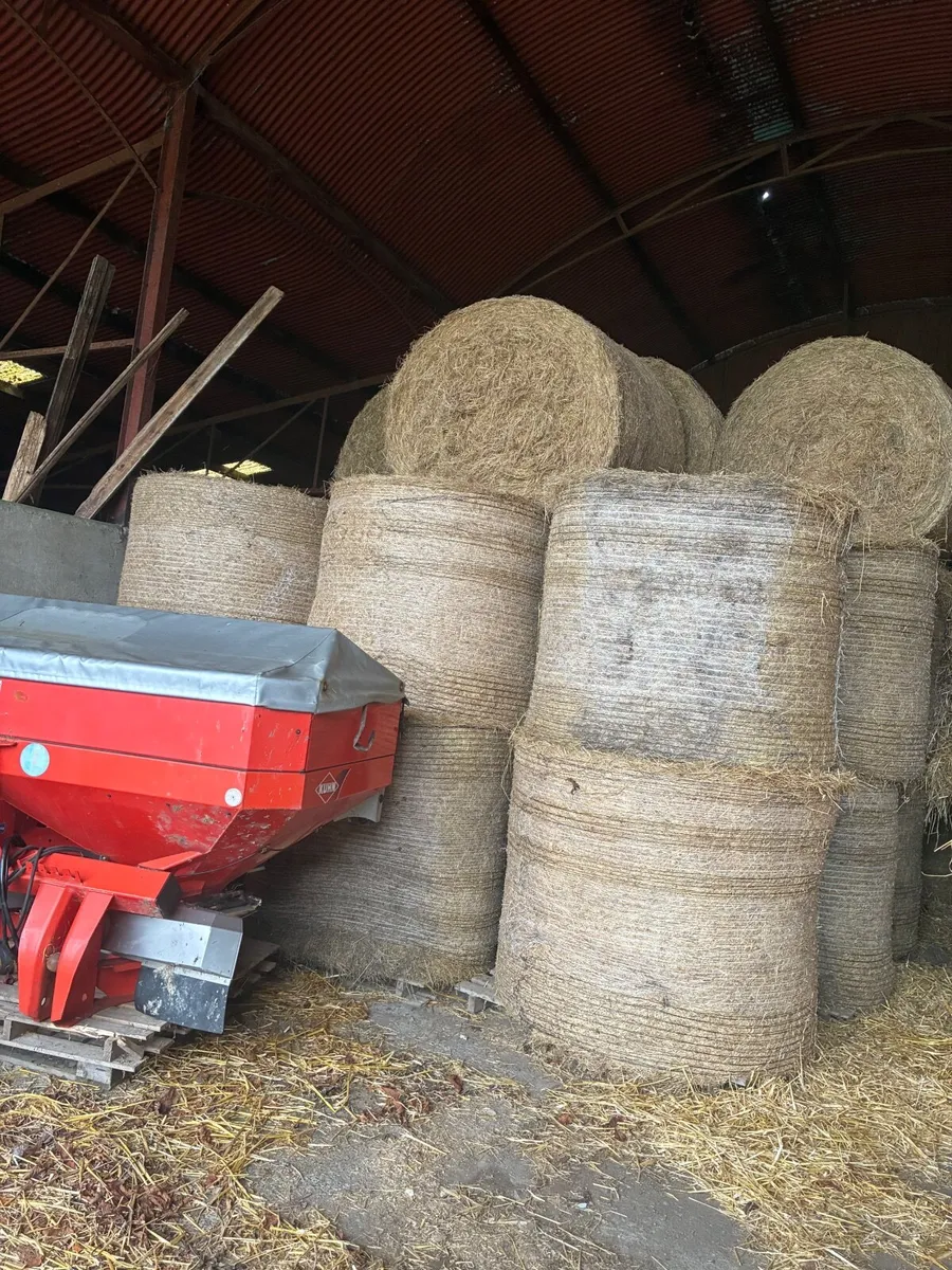 Hay for sale - Image 2
