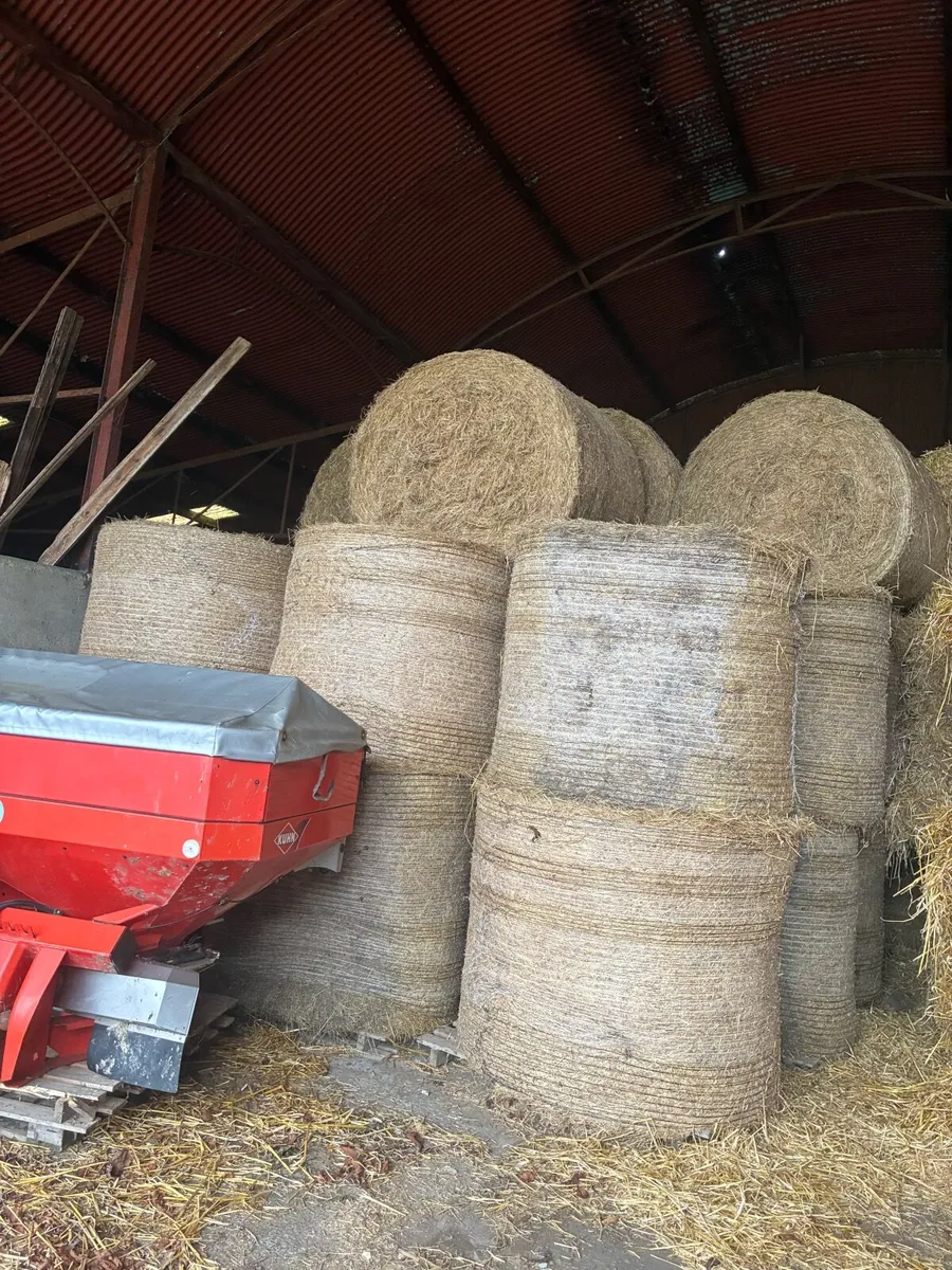 Hay for sale - Image 3