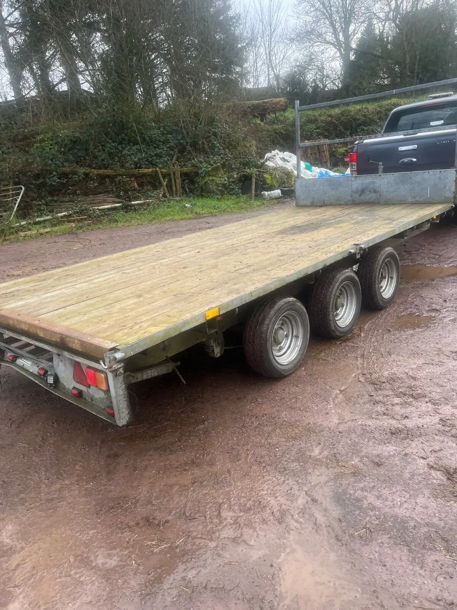 14 ft Ivor Williams trailer - Image 3