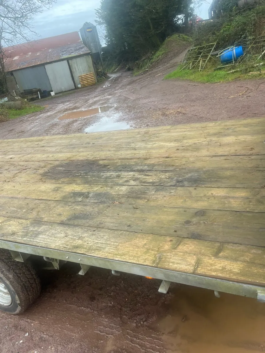 14 ft Ivor Williams trailer - Image 4
