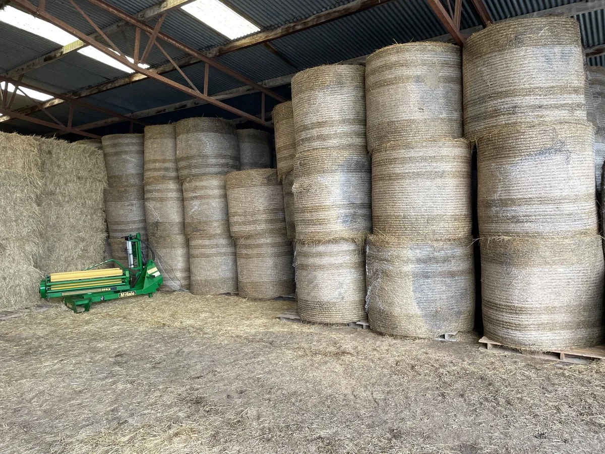 Round bale hay - Image 2