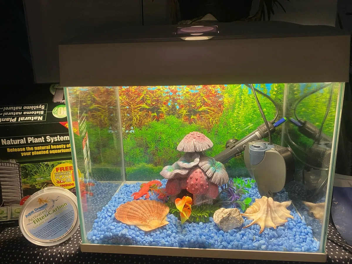 Fish Aquariums READ FULL AD. - Image 3