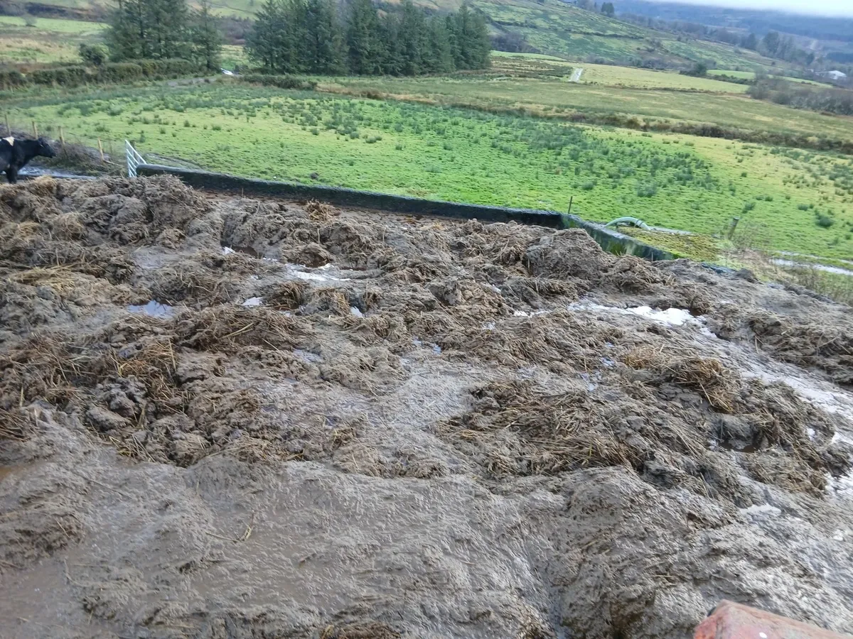 Free fertiliser - Image 1