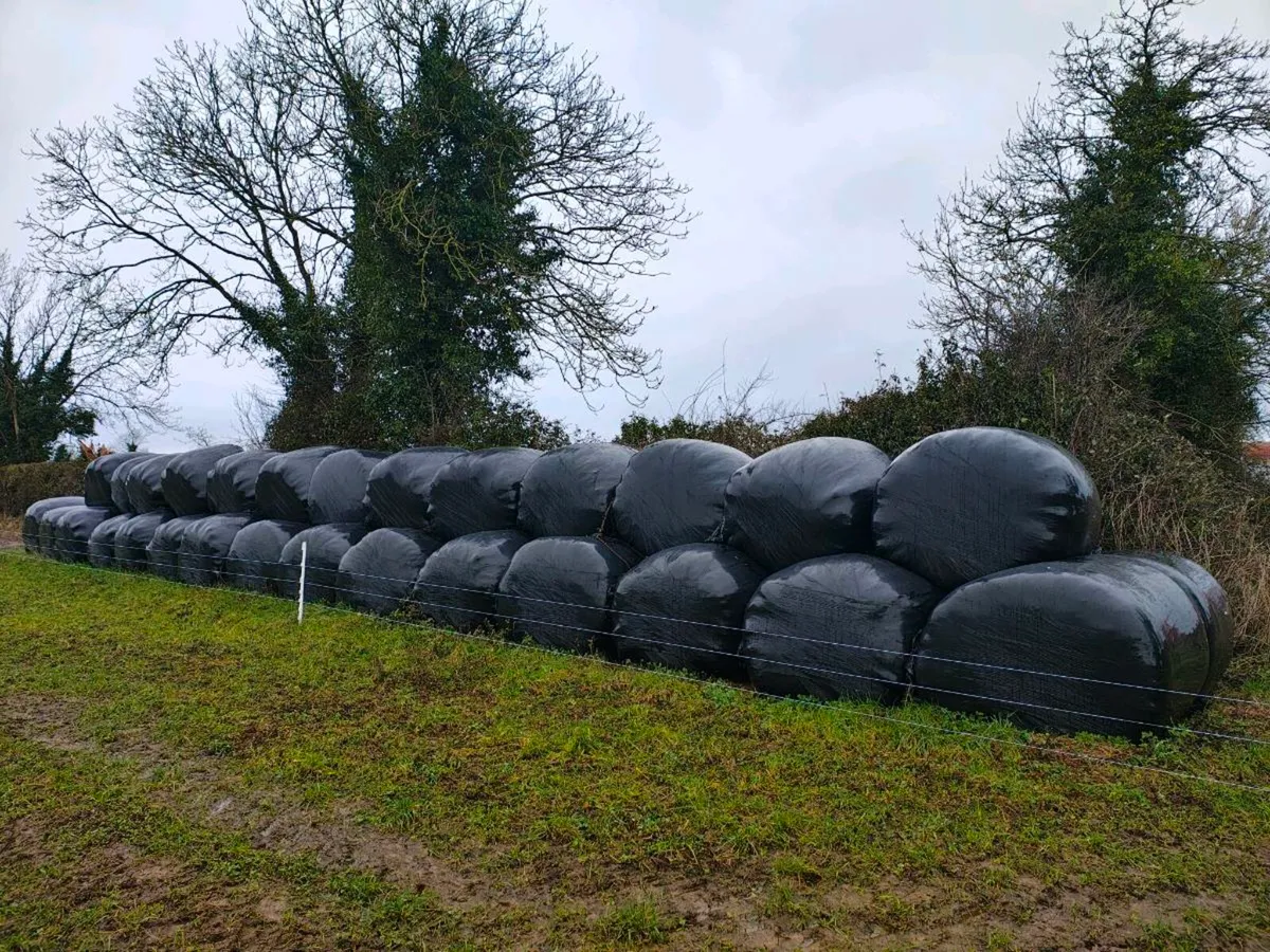 Silage - Image 1