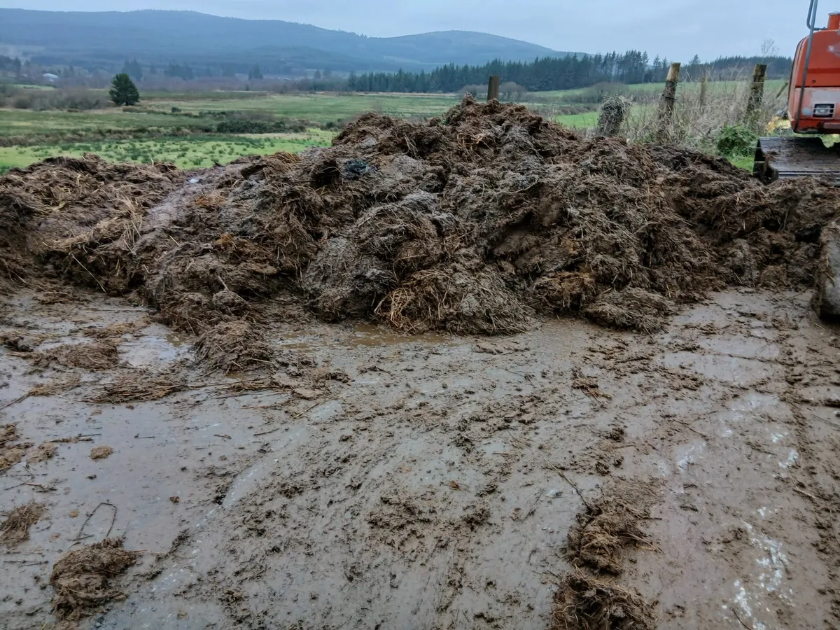 Free fertiliser - Image 2