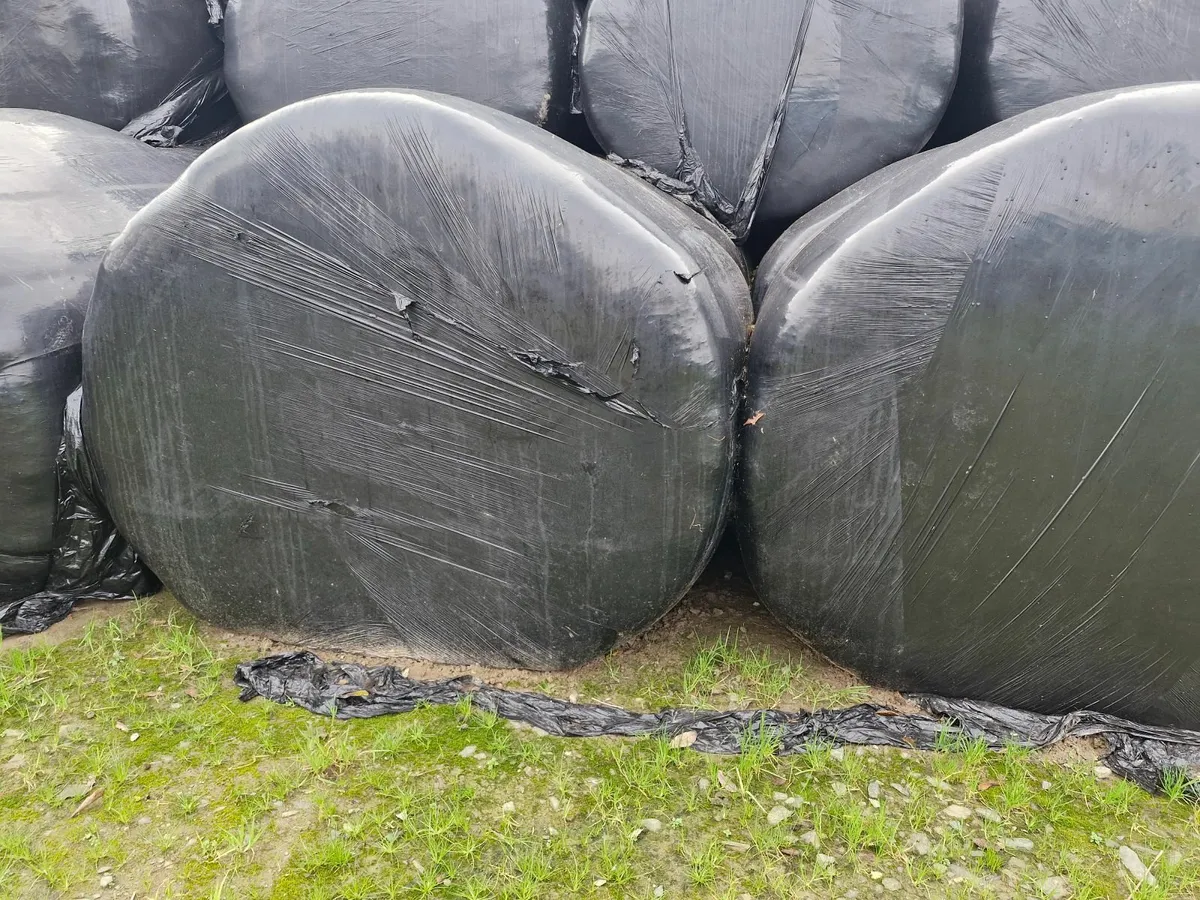 Hay & Haylage - Image 4