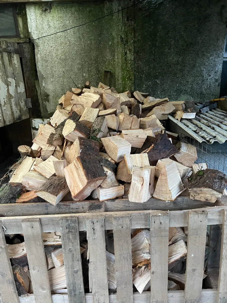 Firewood split and for sale - Image 1