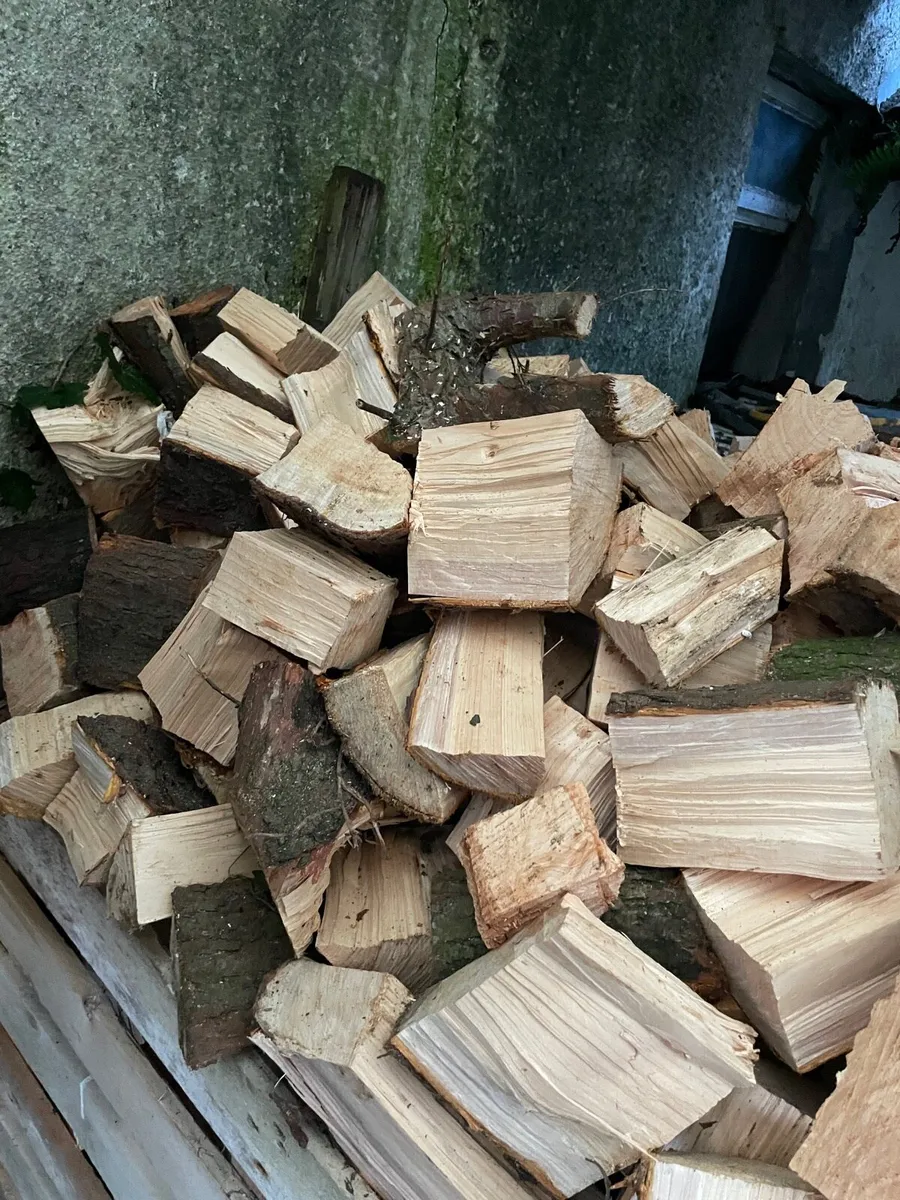 Firewood split and for sale - Image 3