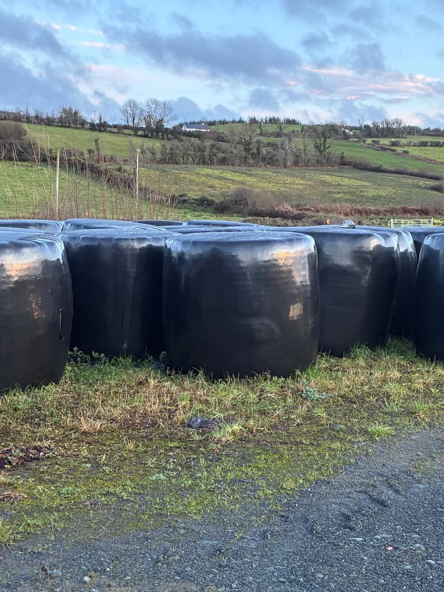 Round Bale Silage