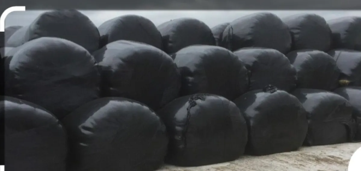 Baled silage - Image 3