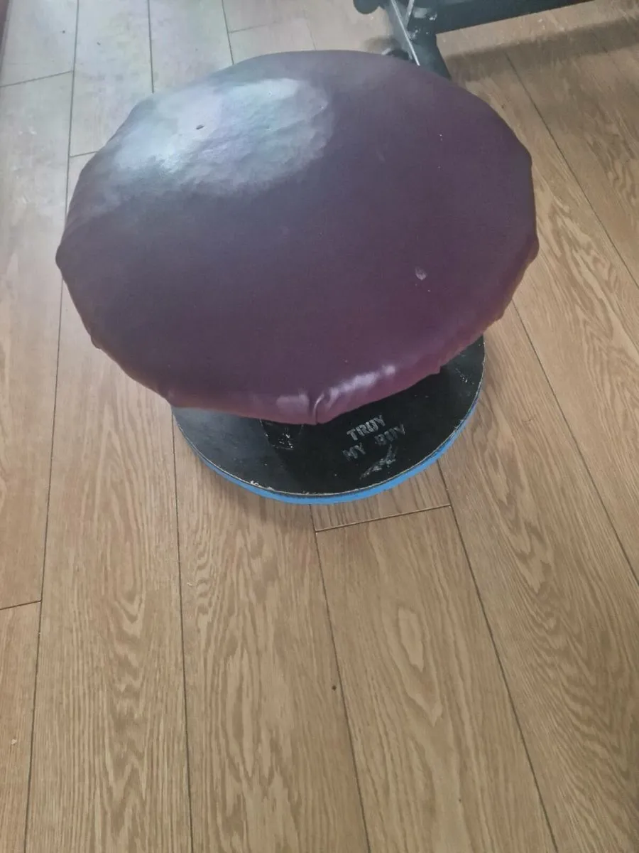 Gymnastics mushroom pommel horse used - Image 1