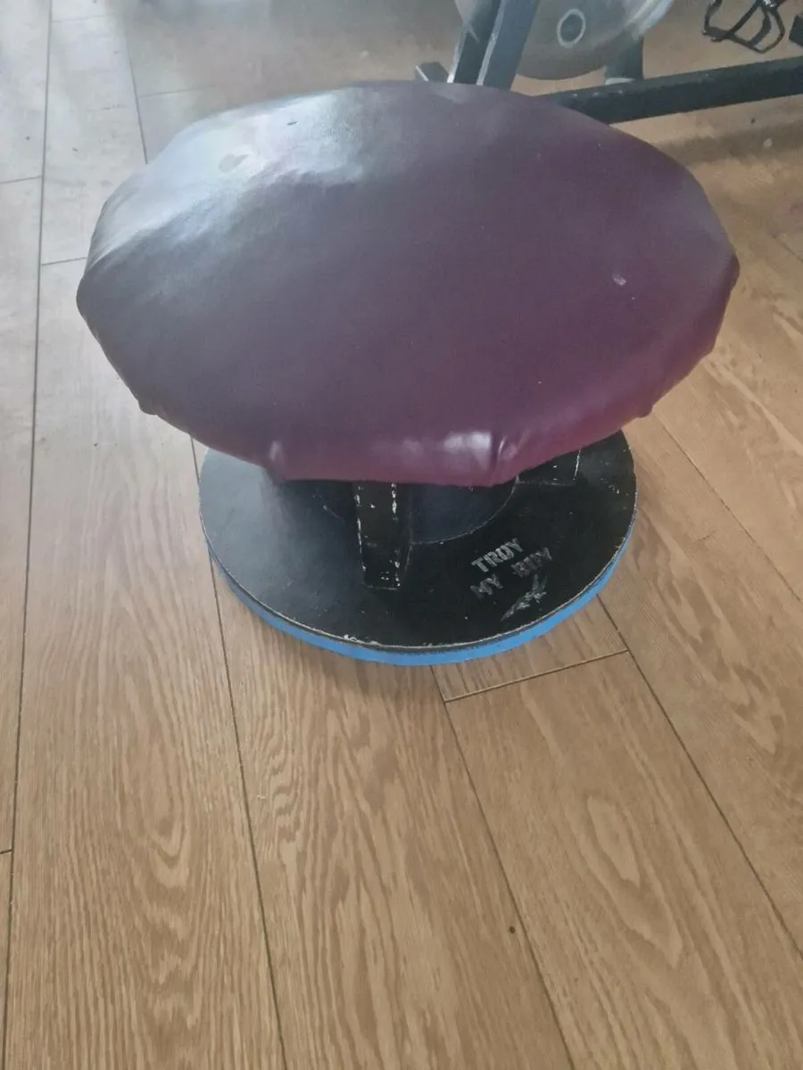 Gymnastics mushroom pommel horse used - Image 2