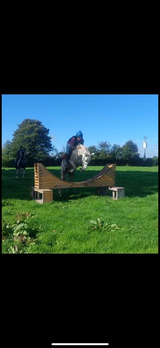 Child’s pony - Image 3