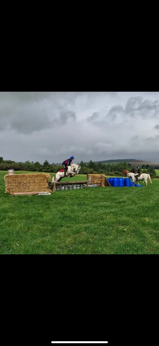 Child’s pony - Image 4