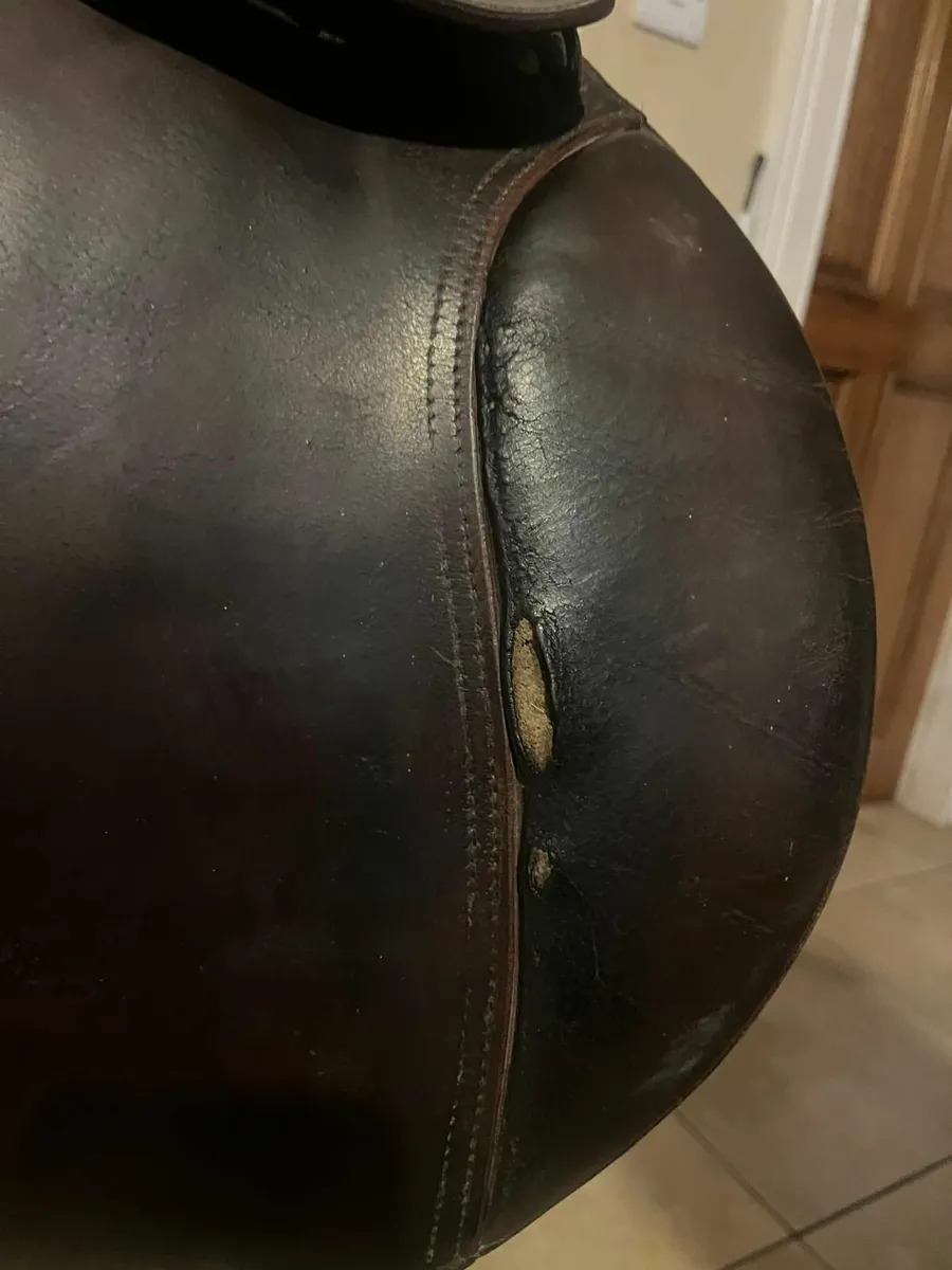 Saddle for sale - Image 4
