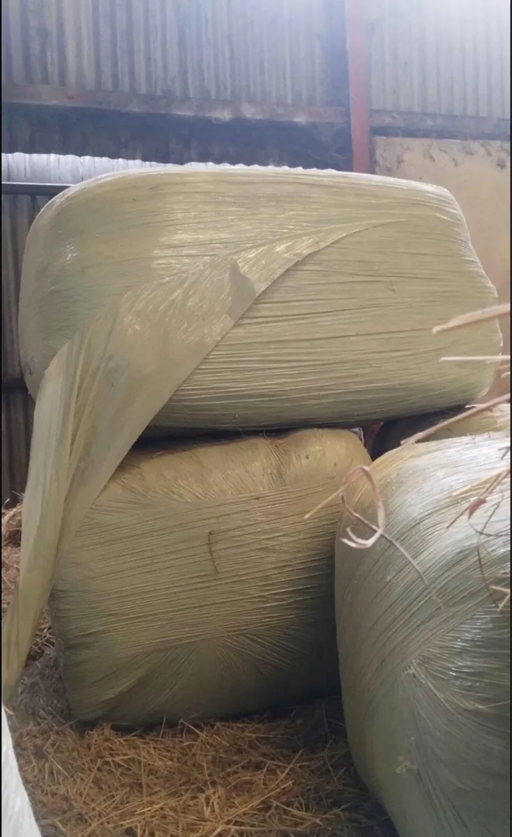 HAYLAGE FOR SALE!! - Image 2