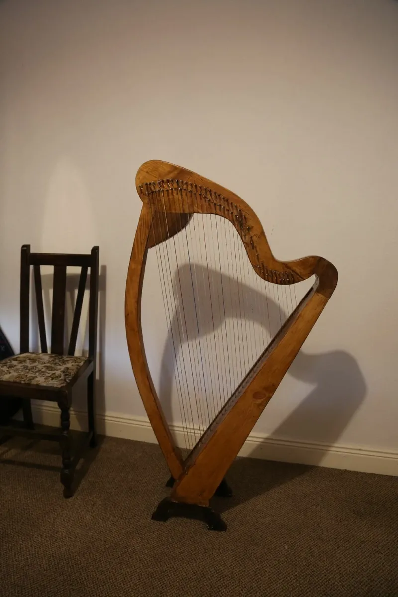 harp  a 34 string harp new