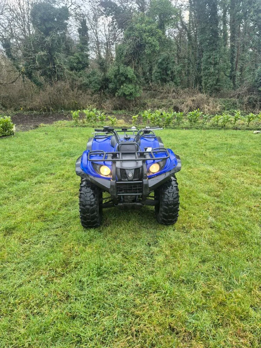 Yamaha kodiak 450 - Image 2