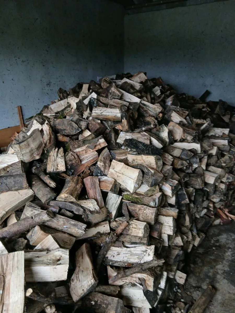 Timber ash and beach - Image 2