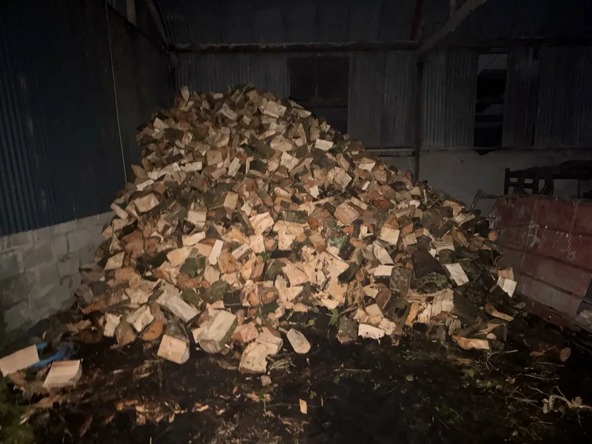 Timber ash and beach - Image 1