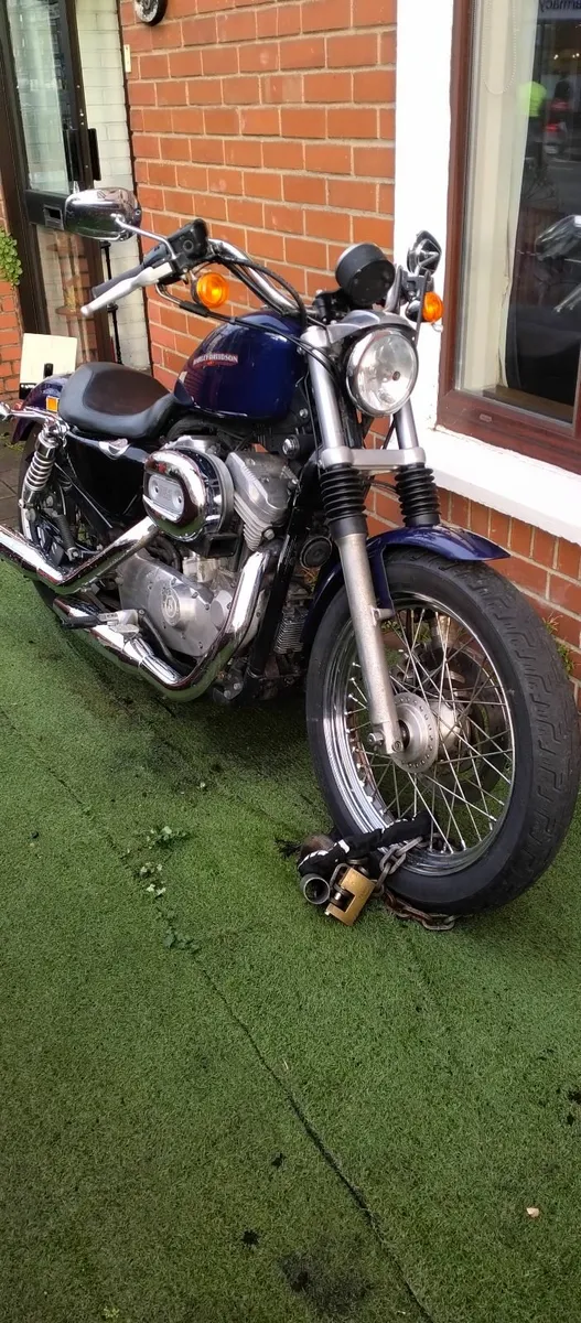 HARLEY DAVIDSON. New pics added - Image 4