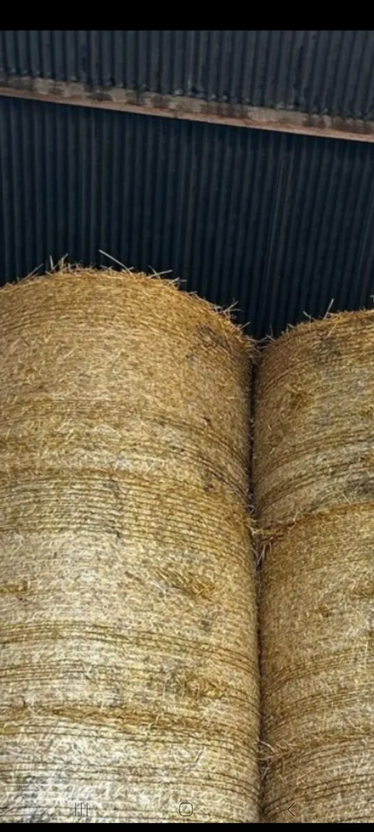 Barley Straw 4 x 4 Fusion Bale's - Image 1