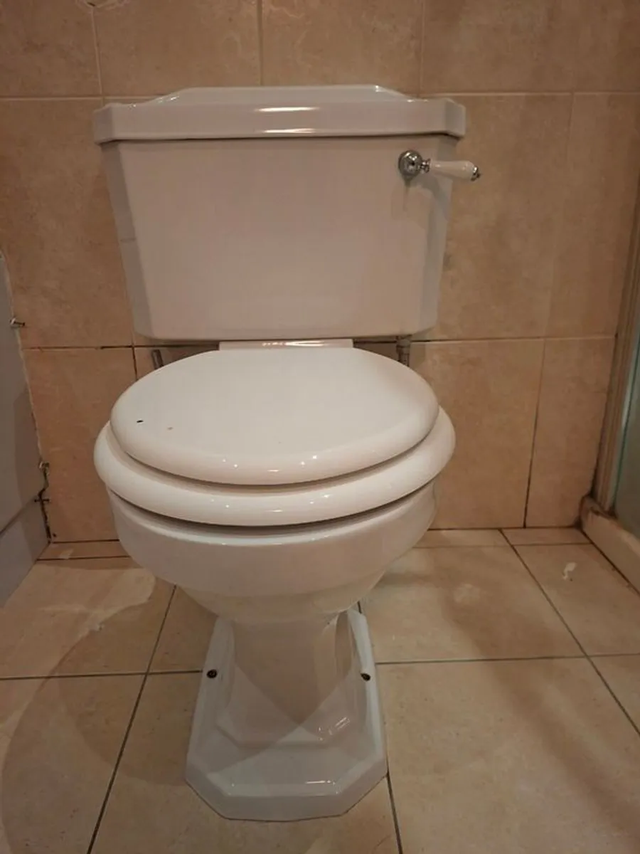 Heritage sink & toilet bathroom forsale - Image 4