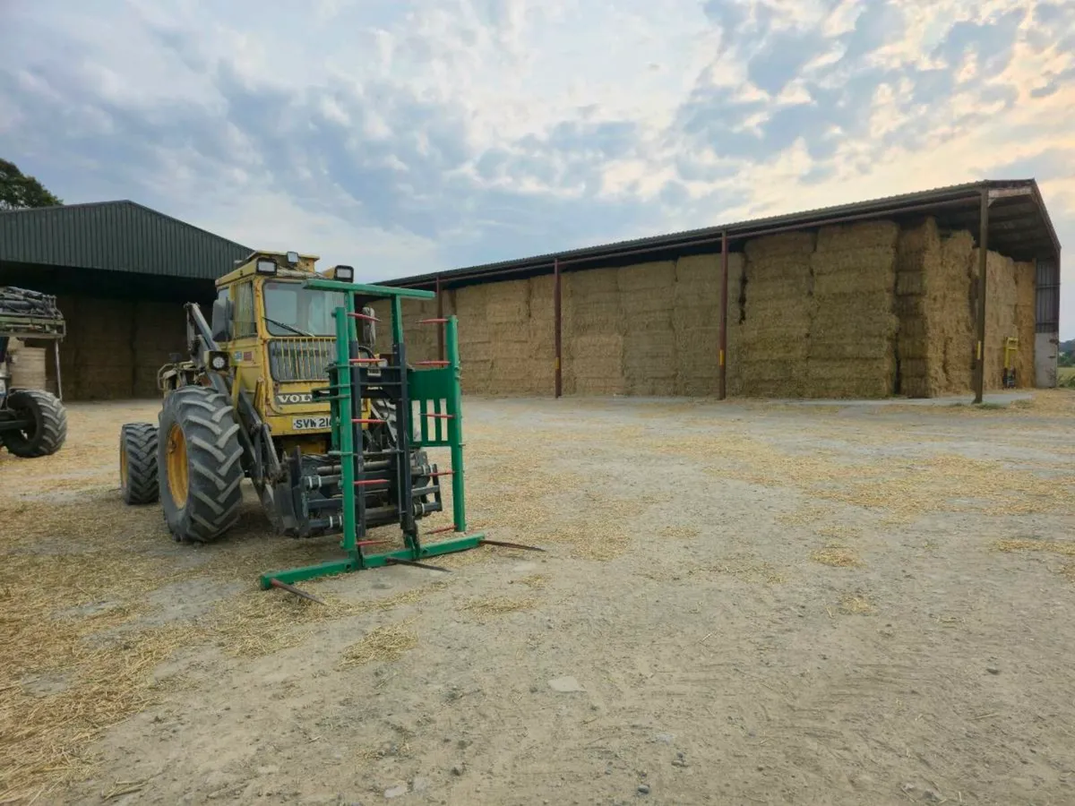 Straw - Top quality square bales for sale - Image 2