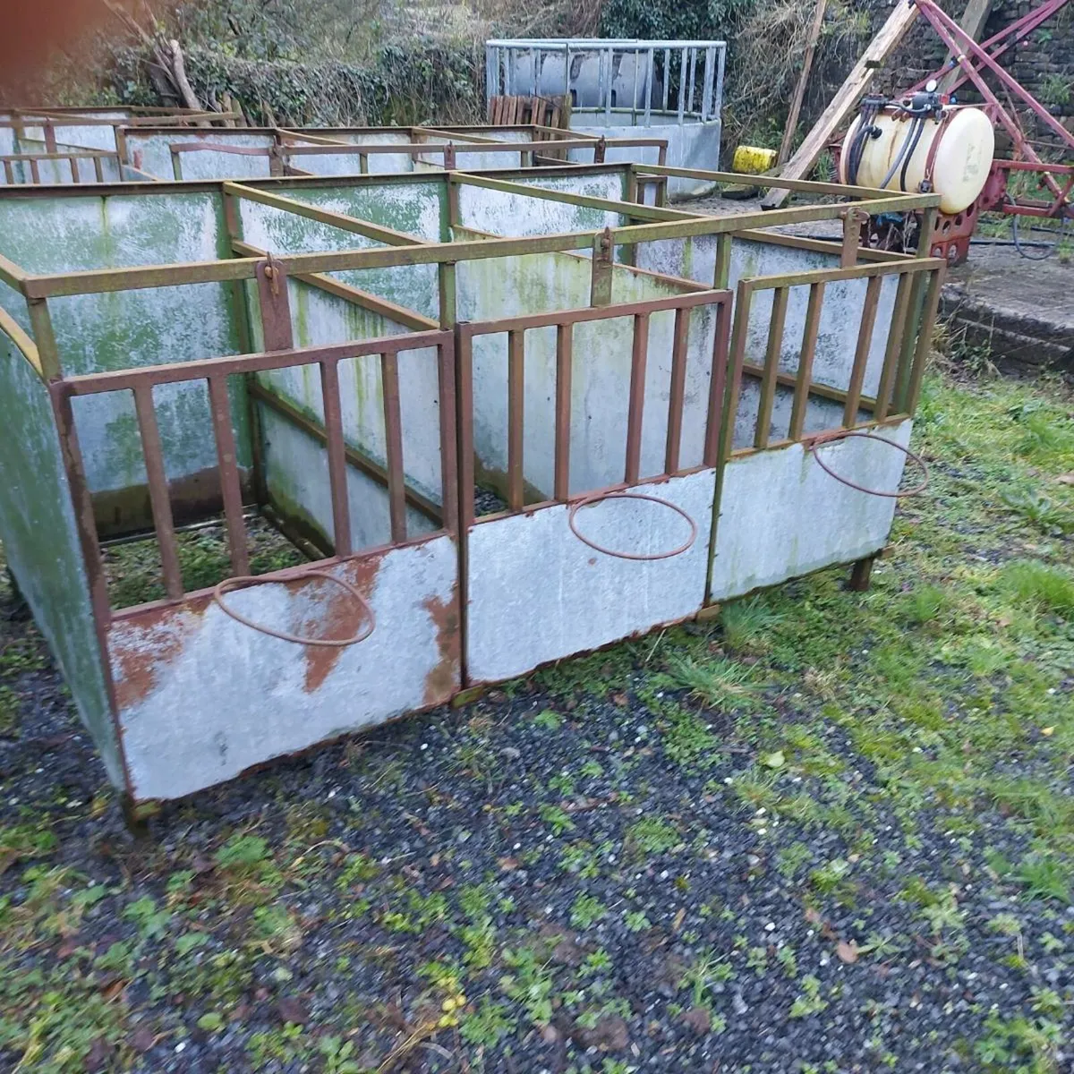 9 Single Calf pens - Image 1