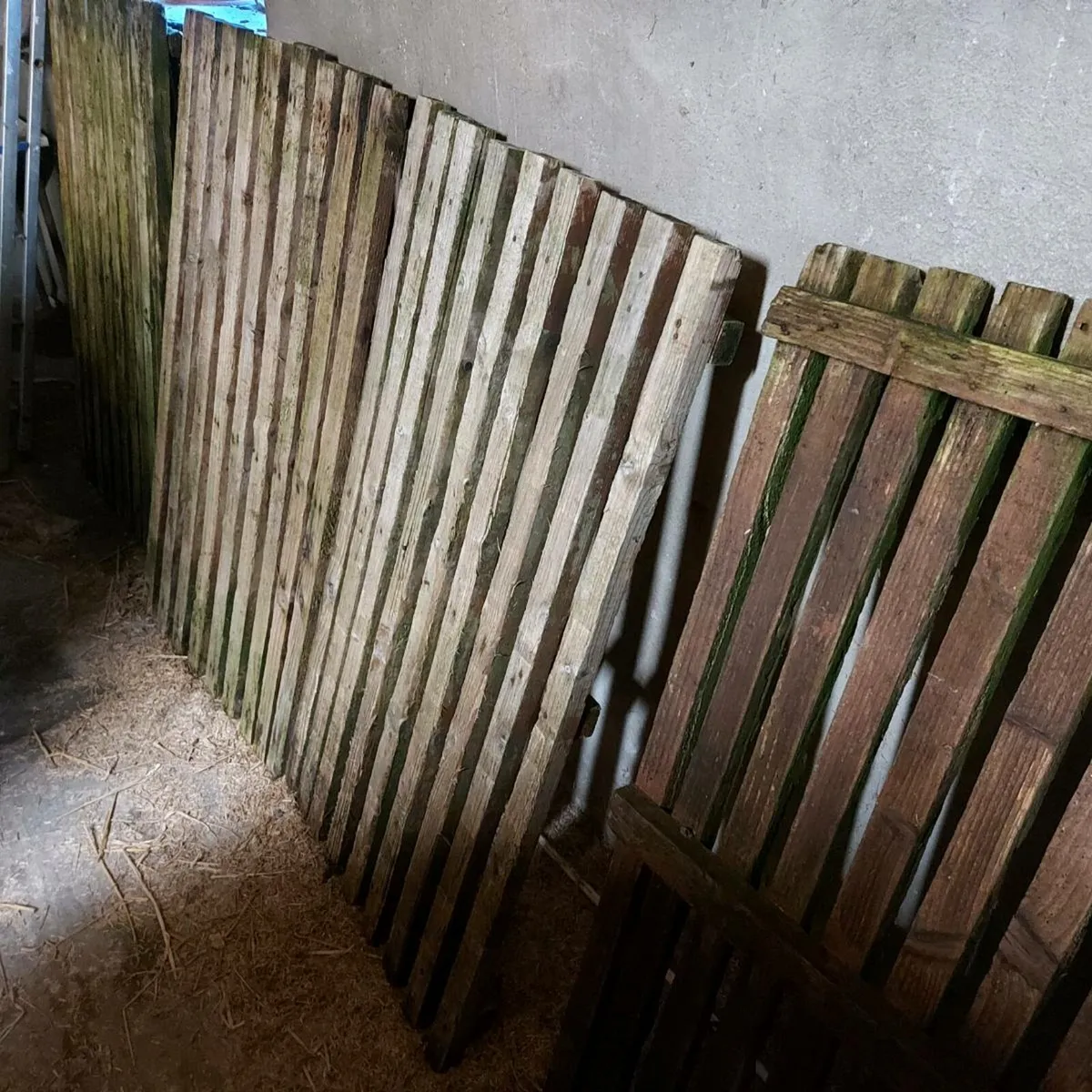 9 Single Calf pens - Image 3