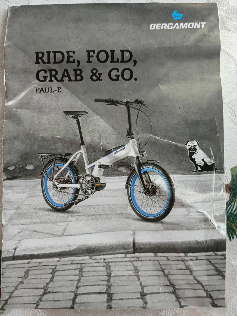 Electric bicyle - Image 4