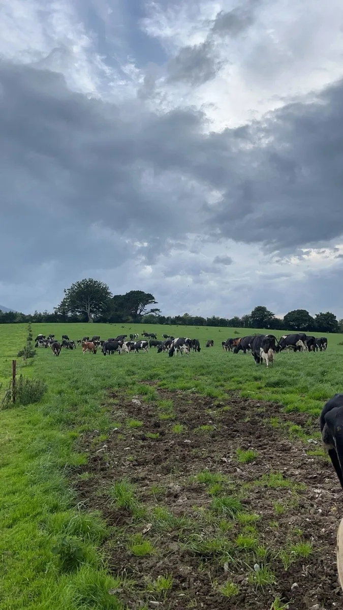 Grass Measuring & Farm Mapping - Image 3