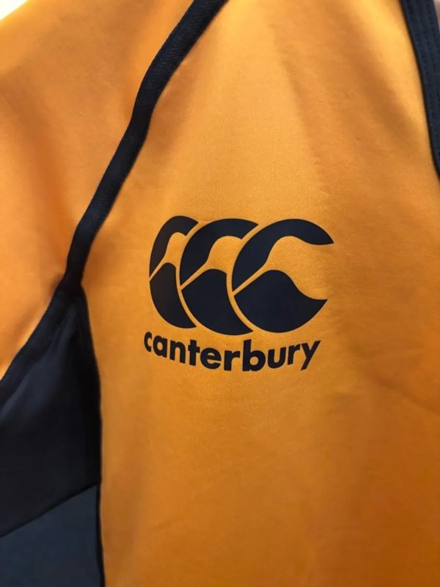 Extremely rare Leinster rugby in-house training jersey - Image 3