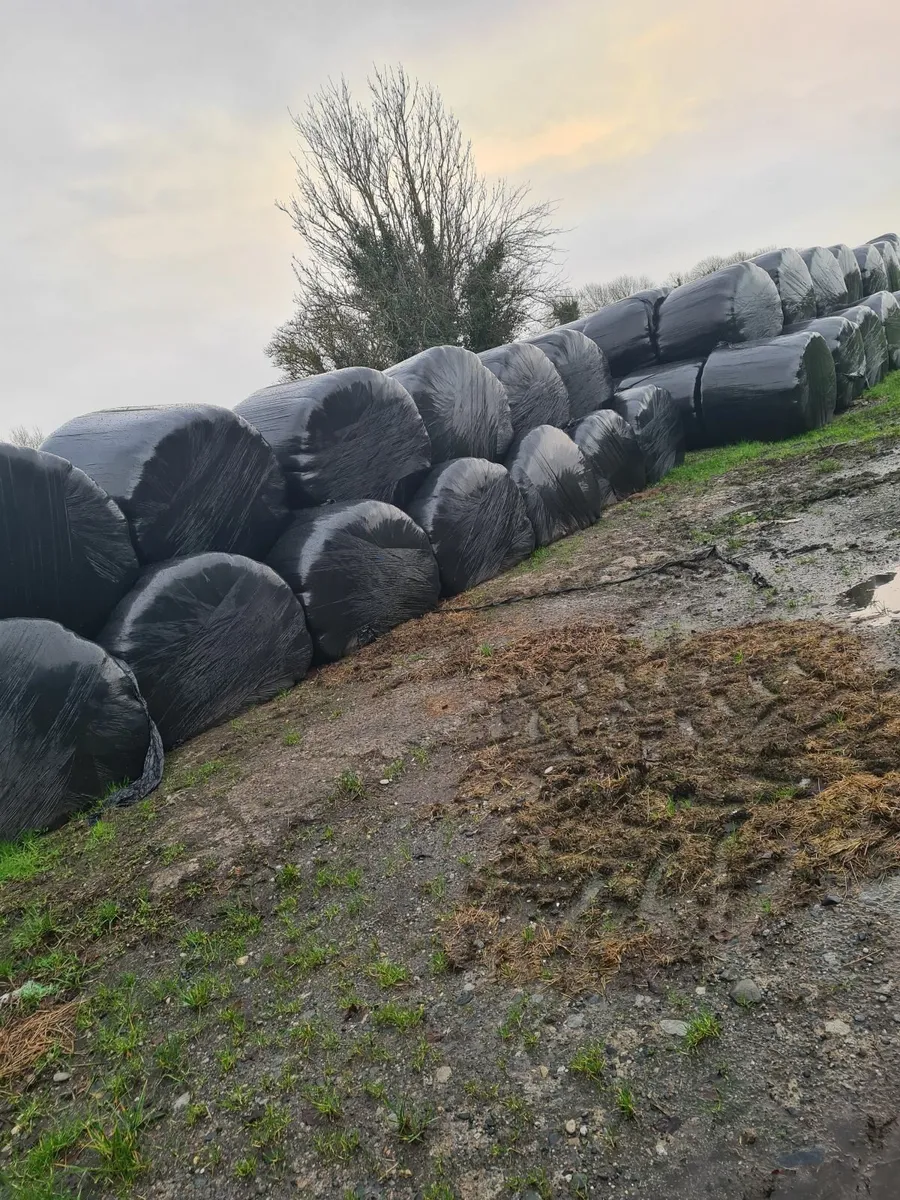 Silage - Image 1