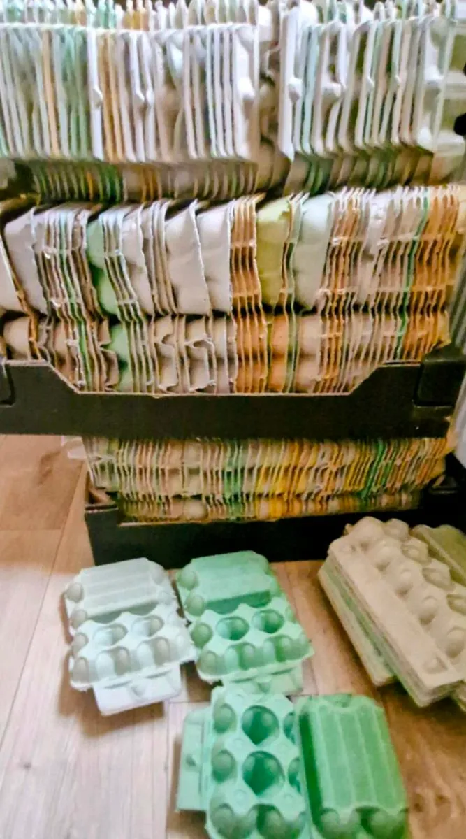 Egg cartons - Image 1