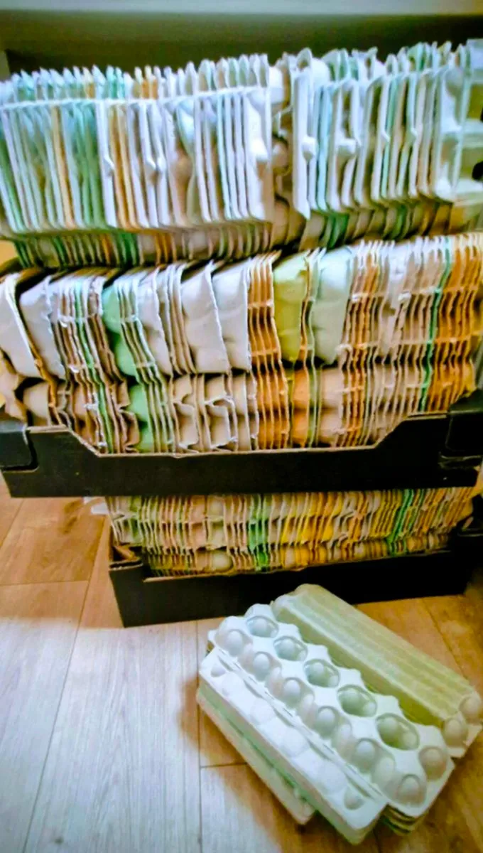 Egg cartons - Image 2