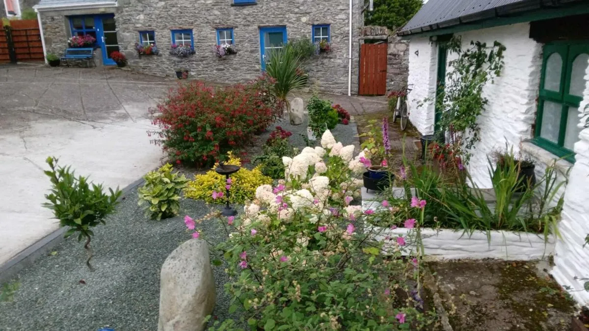 Apartment for rent - Image 2