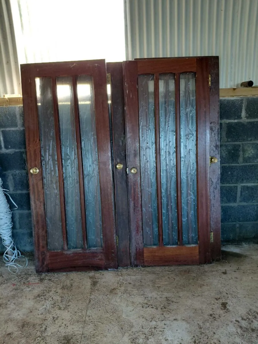 Mahogany doors - Image 3