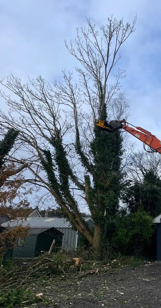 Digger Hire - Image 2