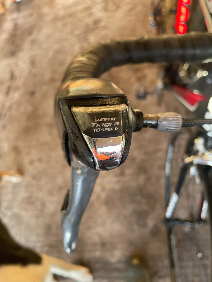 Giant Defy - Image 2