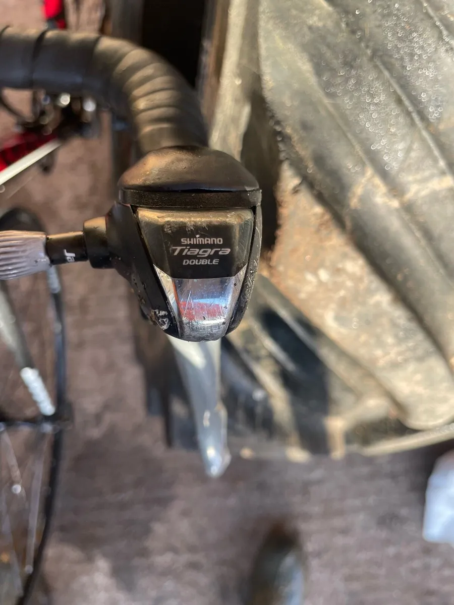 Giant Defy - Image 3