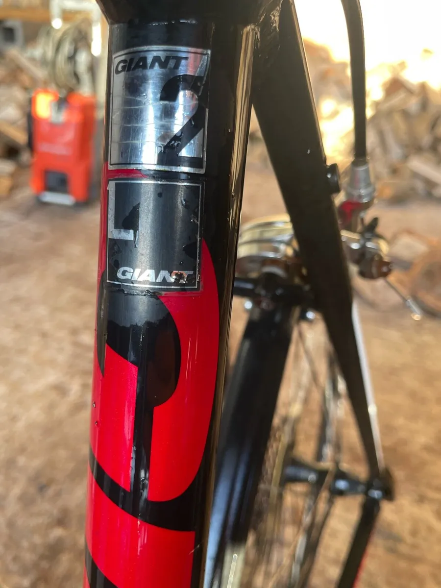 Giant Defy - Image 4