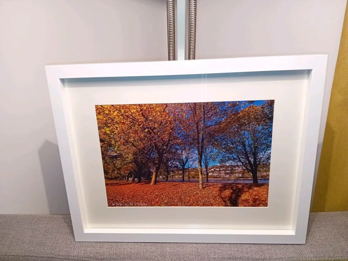 The Marina, Cork - Image 4