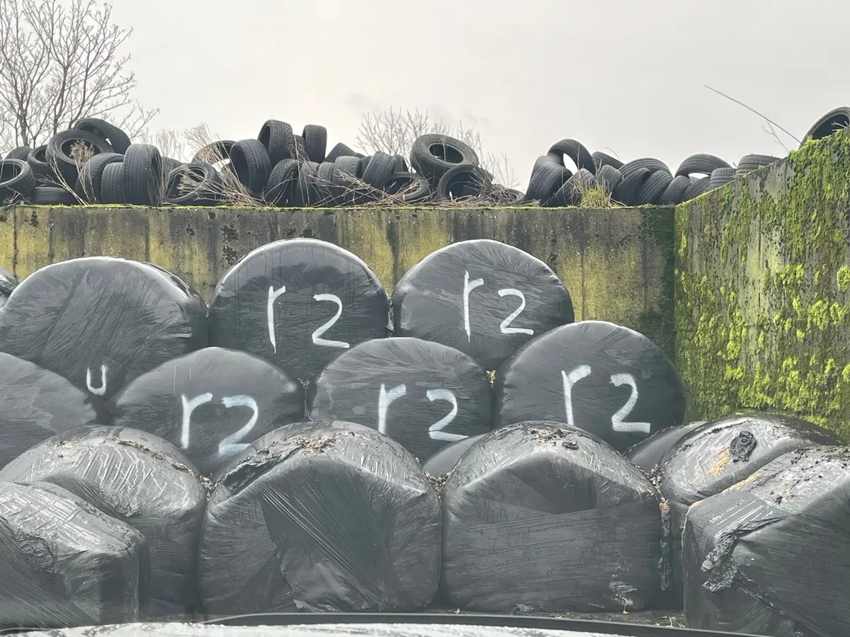 Round bales of Silage 1st,2nd & 3rd cut - Image 1