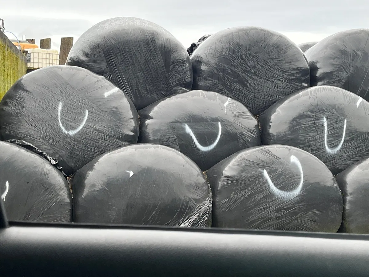 Round bales of Silage 1st,2nd & 3rd cut - Image 3