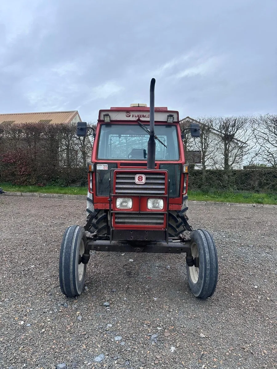 fiat 90-90 - Image 3